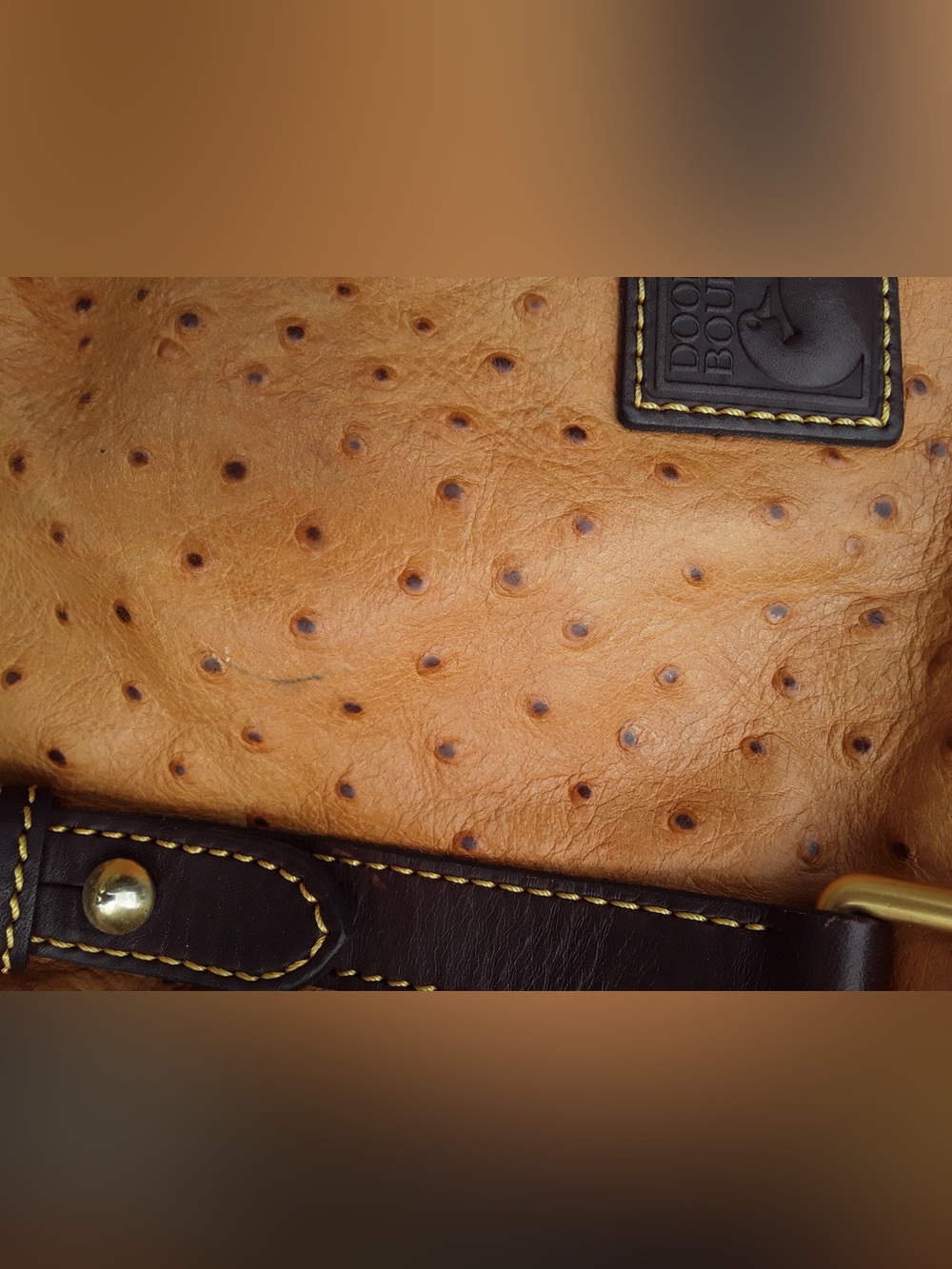Dooney Bourke Exotic Ostrich Florentine Satchel Leather Large Bag Caramel Brown - Picture 4 of 7
